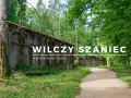 Wilczy Szaniec, historyczna kwatera Hitlera, otoczona zielenią. Wiele osób odwiedza to miejsce, by poznać jego historię.