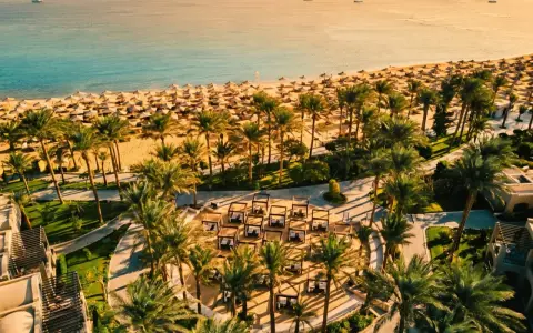 Rajska plaża w Makadi Bay z rzędami leżaków i palm. W oddali błękitne morze i statki.