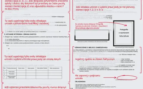 Formularz wniosku o wydanie prawa jazdy, z zaznaczonym polem dotyczącym ruchu lewostronnego.