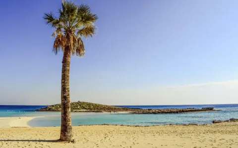 Palma na piaszczystej plaży, turkusowa woda i skaliste wybrzeże. Idealne miejsce na wakacje we wrześniu.
