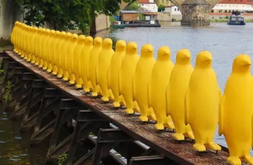 Żółte pingwiny na moście w Pradze to nietypowe atrakcje. Rząd żółtych, gumowych postaci na tle rzeki i mostu.