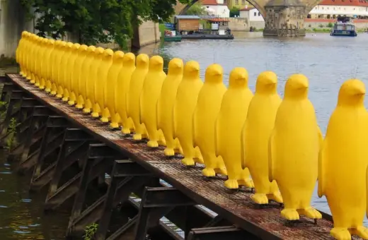 Żółte pingwiny na moście w Pradze to nietypowe atrakcje. Rząd żółtych, gumowych postaci na tle rzeki i mostu.