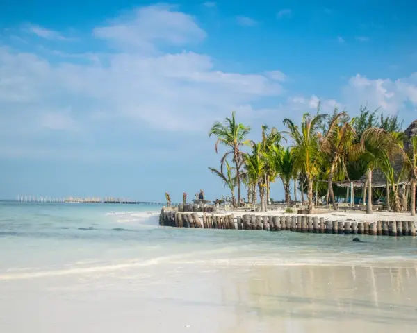 Ile trwa lot na Zanzibar? Czas, przesiadki i porady Kajetana