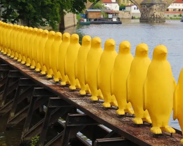 Żółte pingwiny na moście w Pradze to nietypowe atrakcje. Rząd żółtych, gumowych postaci na tle rzeki i mostu.