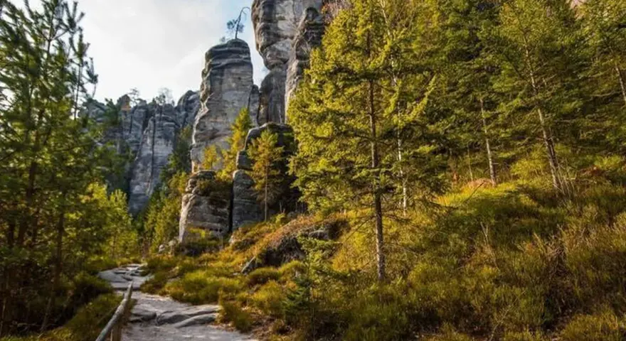 Kamienista ścieżka prowadzi przez skalne miasto w Czechach, otoczone gęstym lasem iglastym i wysokimi, strzelistymi formacjami skalnymi.