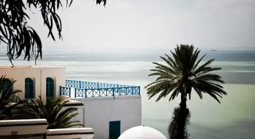 Białe budynki z niebieskimi okiennicami i balustradą, palma i morze. Czy Tunezja jest bezpieczna? Widok sugeruje spokój i piękno.