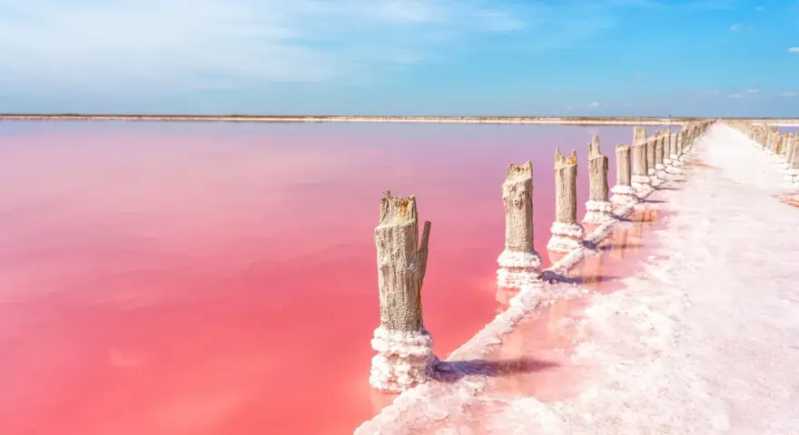 Alicante różowe jezioro, z drewnianymi słupkami porośniętymi solą, tworzy surrealistyczny krajobraz.