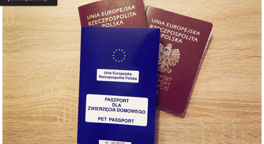 Czarnogóra: Dowód wystarczy, ale jest haczyk! Kiedy paszport?