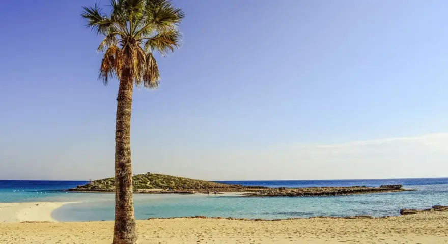 Palma na piaszczystej plaży, turkusowa woda i skaliste wybrzeże. Idealne miejsce na wakacje we wrześniu.
