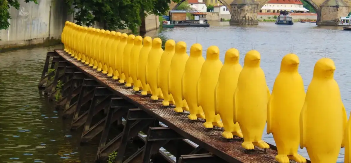 Żółte pingwiny na moście w Pradze to nietypowe atrakcje. Rząd żółtych, gumowych postaci na tle rzeki i mostu.